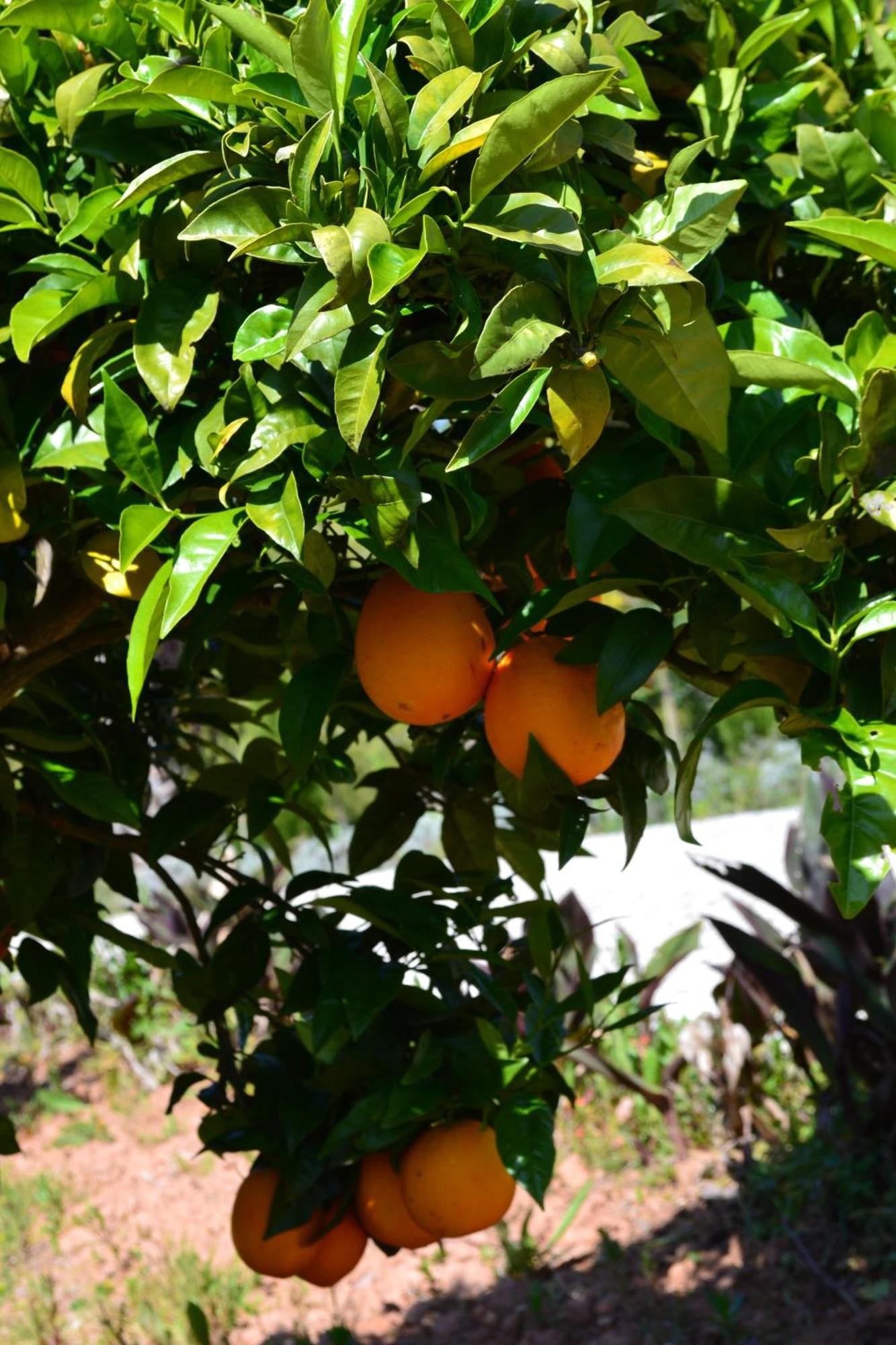 Villa Mountview Alenquer Esterno foto