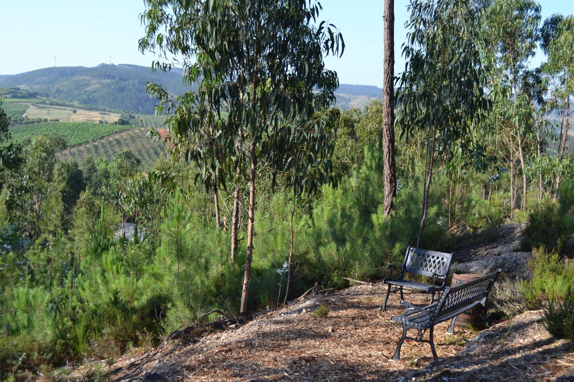 Villa Mountview Alenquer Esterno foto